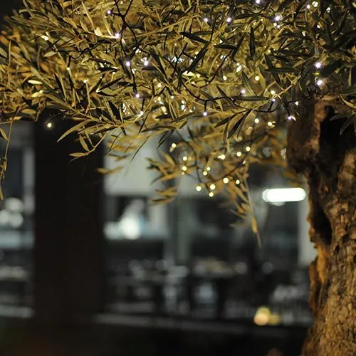 Stazione Mole - Natale 3