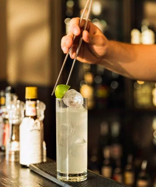 barman prepara gin tonic al bancone